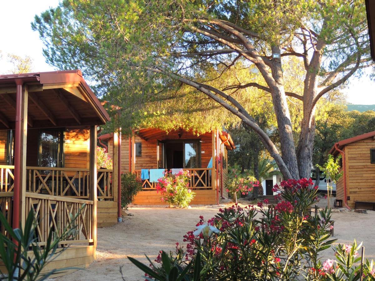 Feriendorf La Mora Calvi  Luaran gambar