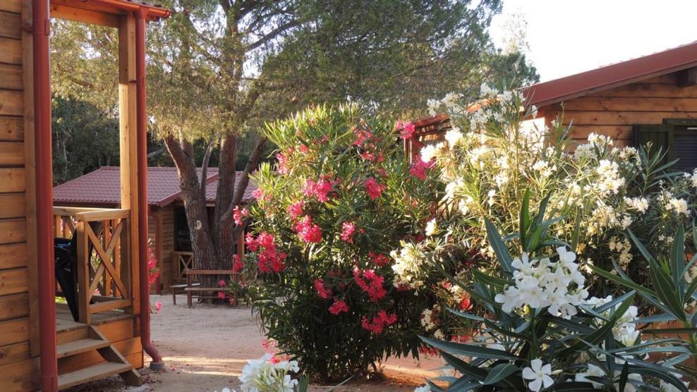 Feriendorf La Mora Calvi  Luaran gambar